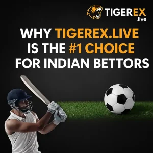 Why TigerEx.live Is the #1 Choice for Indian Bettors